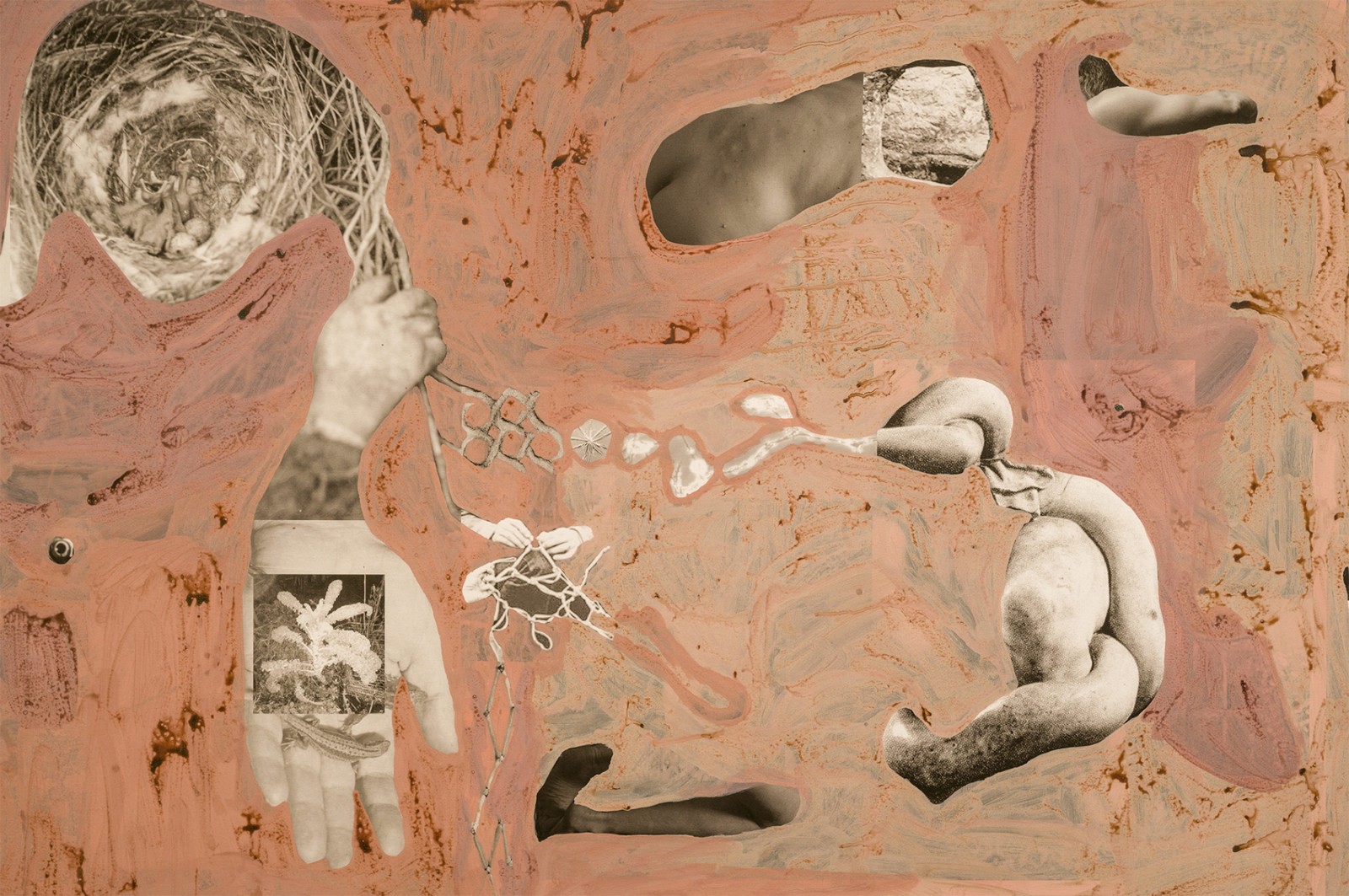 圖十二、《地勢(shì) (關(guān)于時(shí)間，關(guān)于身體)》 (細(xì)節(jié)圖)，O?zlem Alt?n，2019