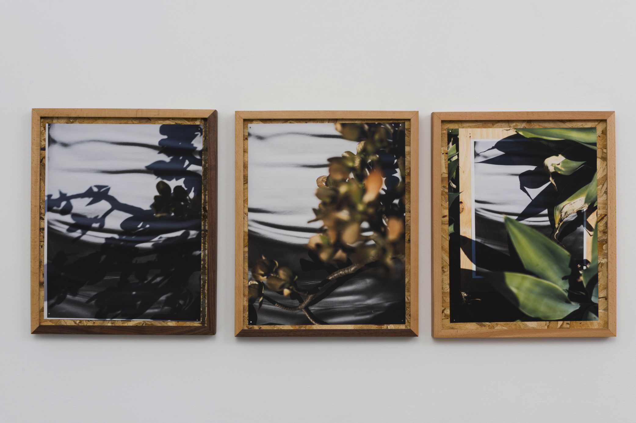 圖四、從左至右《庫(kù)卡蒙格牧場(chǎng) 34.1064° N, 117.5931° W. 》2018《回聲公園 34.0782° N, 118.2606° W.》 2018《康普頓 33.8958° N, 118.2201° W. 2018》David Alekhuogie